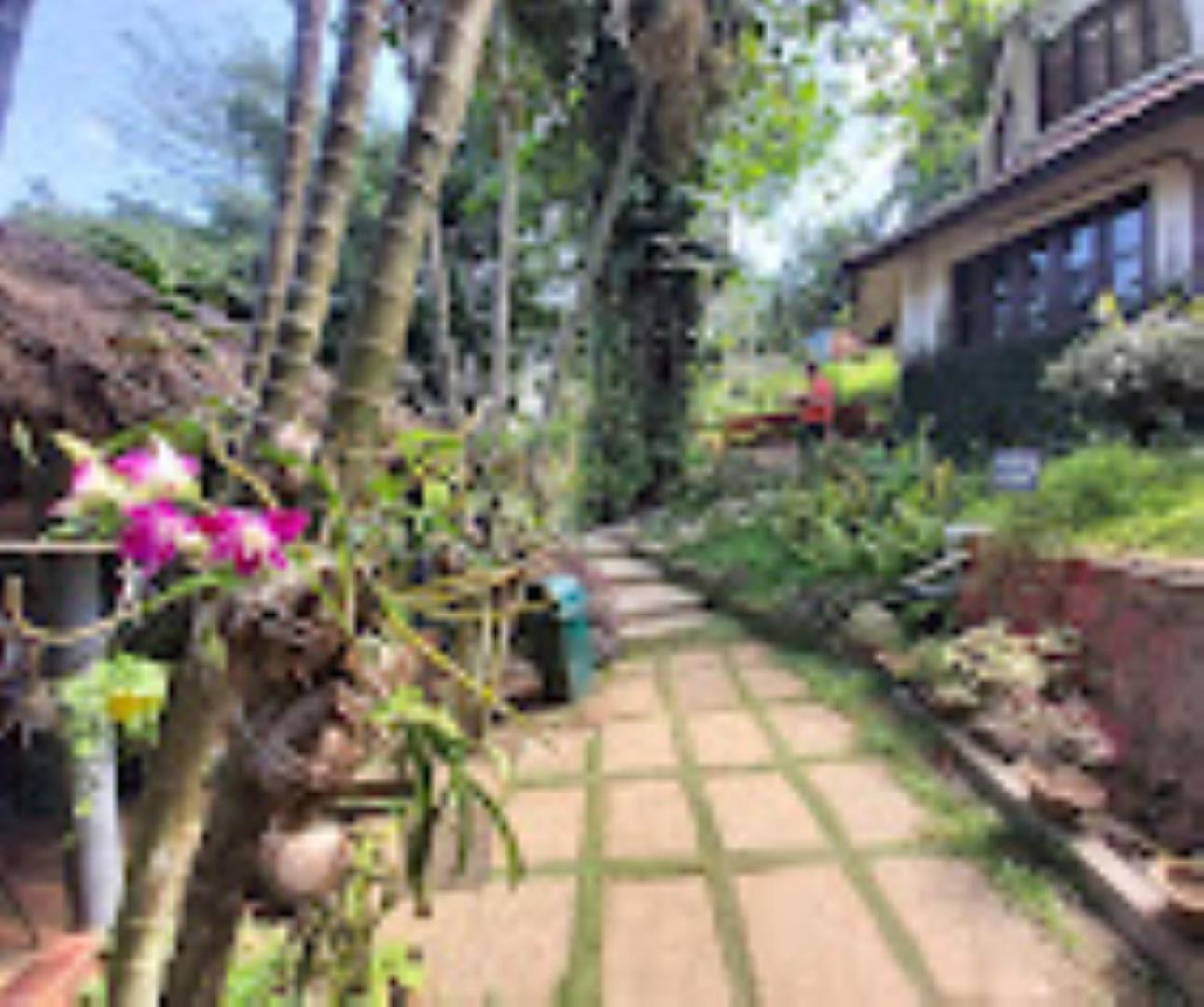 Brahmaputra Jungle Resort Гувахати Экстерьер фото